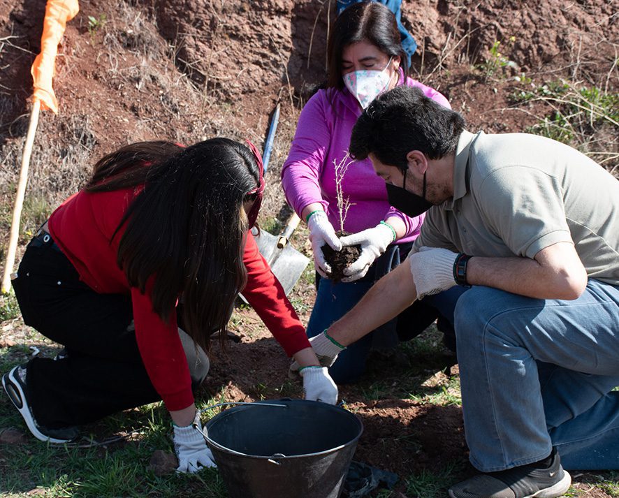 Iniziativa ecologica Santuario Laura Vicuna Cile