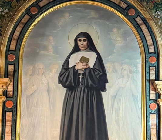 Santa Maria Mazzarello, “forte tralcio della vite vera”
